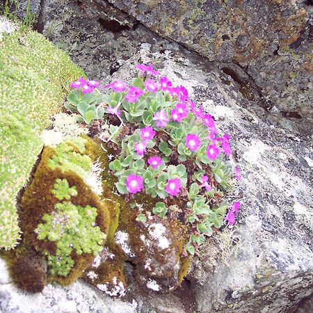 Saint-Jacques-en-Valgodemard Les Clarines Perceneige - Chambre D'Hotes Vue Sur Montagne & Spa מראה חיצוני תמונה