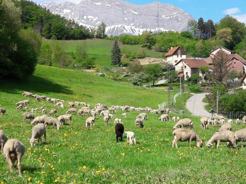 Saint-Jacques-en-Valgodemard Les Clarines Perceneige - Chambre D'Hotes Vue Sur Montagne & Spa מראה חיצוני תמונה